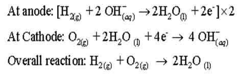 Fuel cell