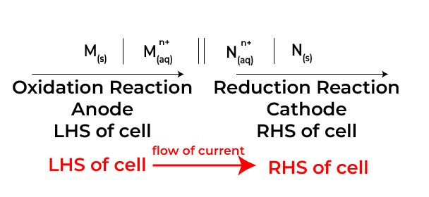 cell representation