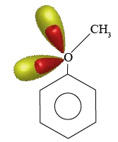 Nitration of Anizole